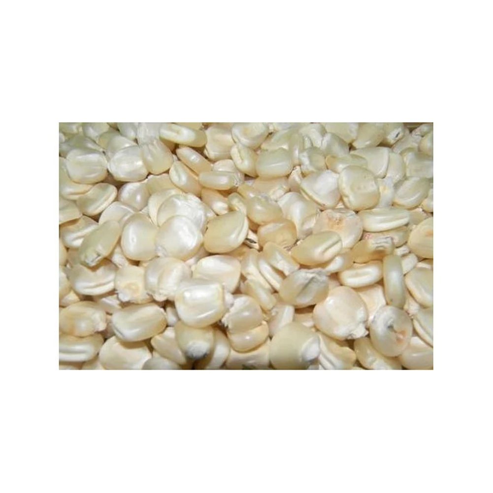 Top Selling White Maize Corn Yellow Maize Export Quality Stock Available For Sale
