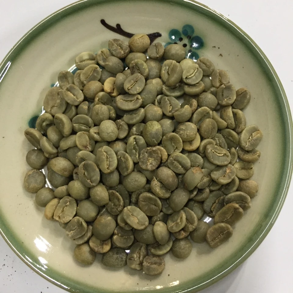 100% Cau Dat Arabica First Grade Coffee Beans Premium Quality