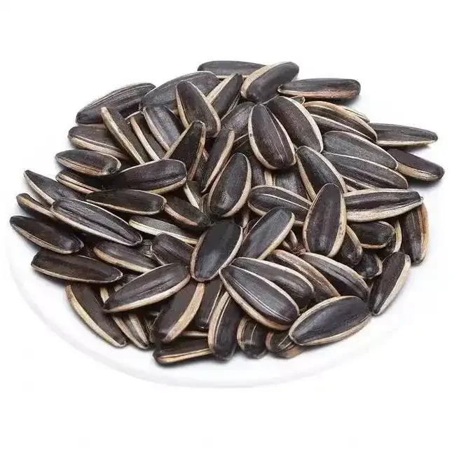 Sun flower Seeds New Crop Wholesale Thailand sun flower seeds 363/361/601