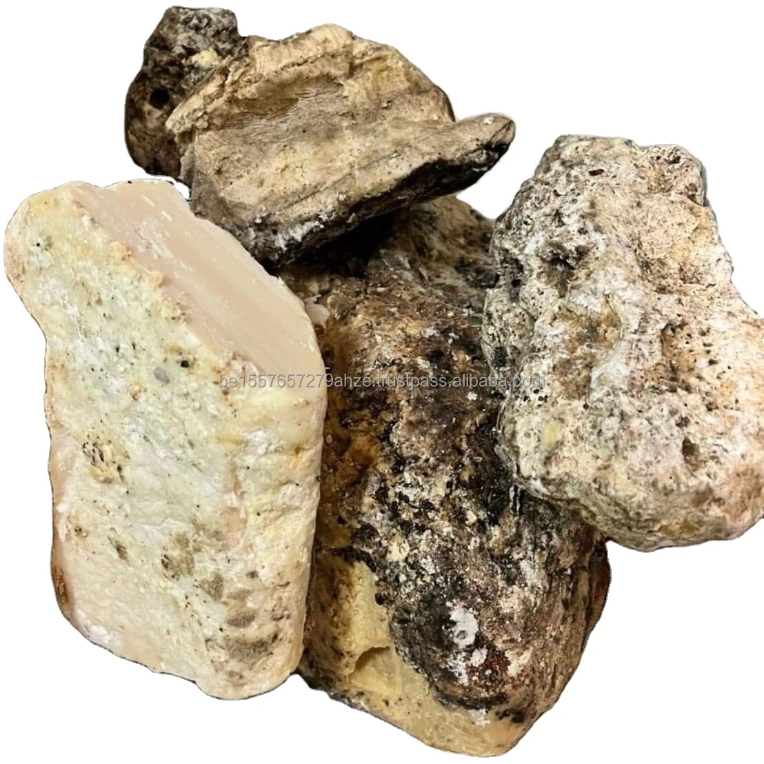 Whale Vomit Ambergris.jpg