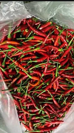 Fresh chili Thai Natural Spice High Quality Premium Grade Export Product  Wholesale Original From Thailand Best seller