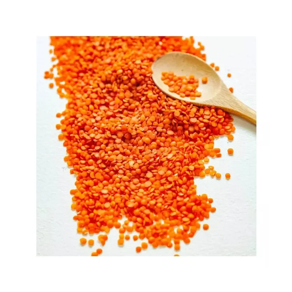 Cheap Red Lentils for bulk sale