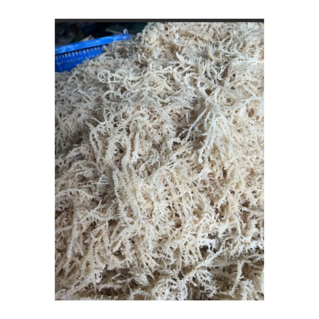 Белый/желтый/фиолетовый сушеные водоросли Eucheuma Cottonnii/Высококачественный сушеный ирландский морской мох для салата Seamoss