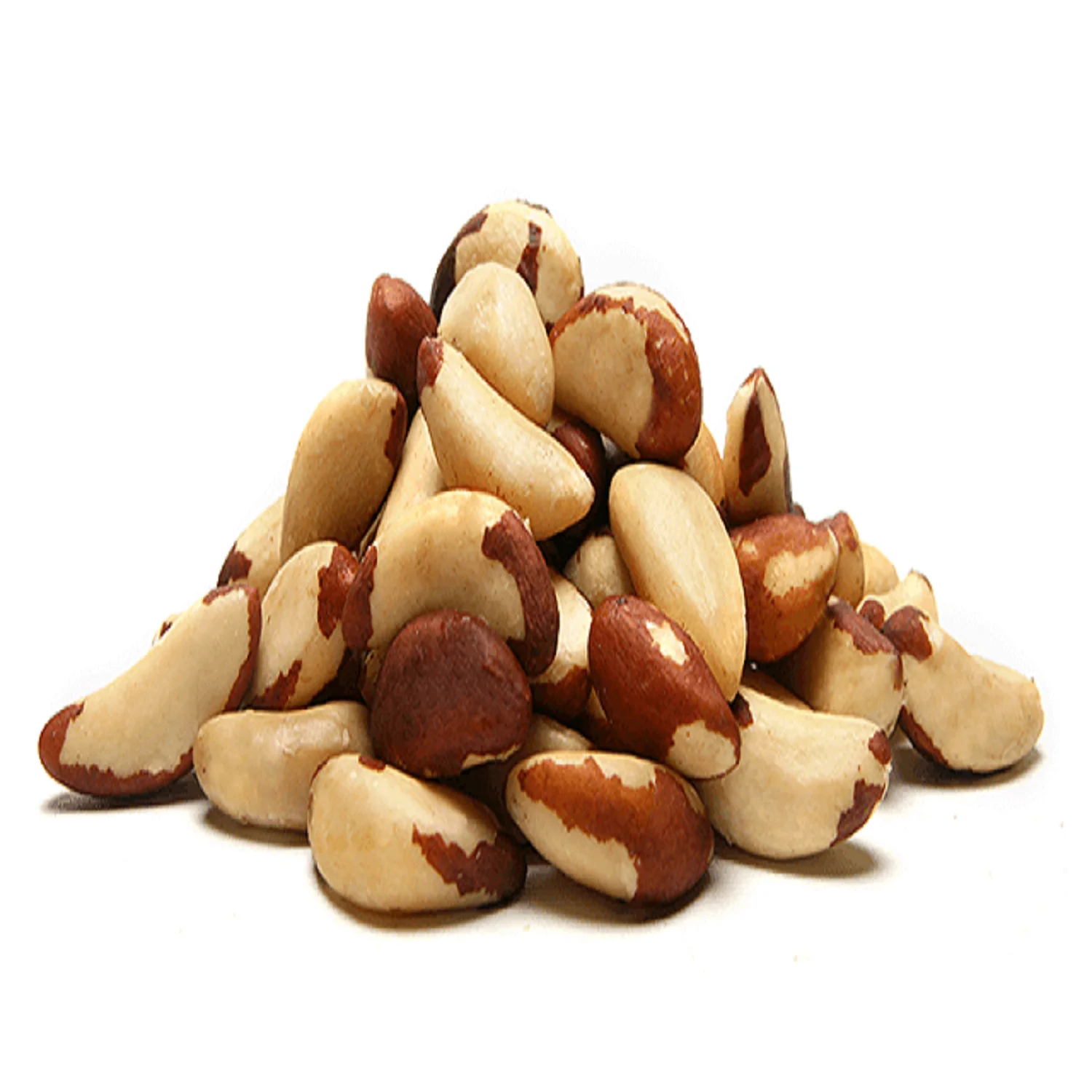 Organic Brazil Nuts / Brazil Nuts Wholesale price