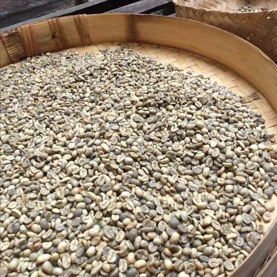 PREMIUM GREEN ROBUSTA COFFEE BEANS PERFECT FOR ROASTING, RICH FLAVOR SCR16 SCR18 UNWASH CLEANED WET POLISHED HIGH QUALITY EXPORT