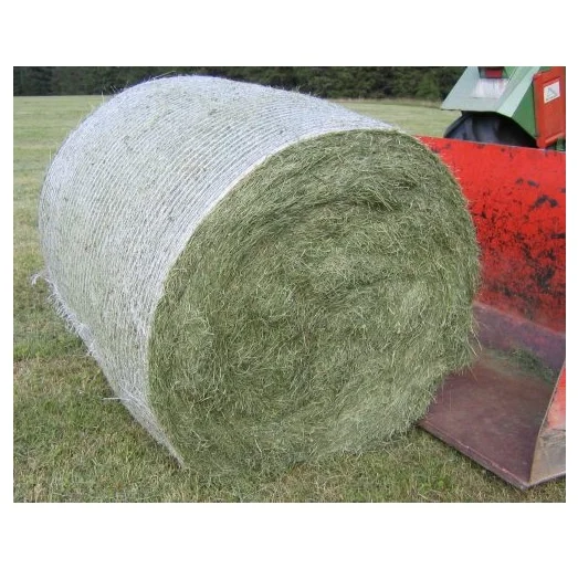 High Quality Alfalfa Hay/Timothy Hay Bermuda Hay Dried Animal Feed in Bales Bags for Cattle Horse Dog Fish Food Seed Pellet Type