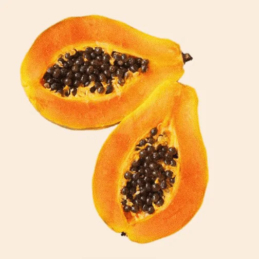 High Quality 100% Natural Fresh Papaya Powder Pure Papaya Fruit Juice Powder