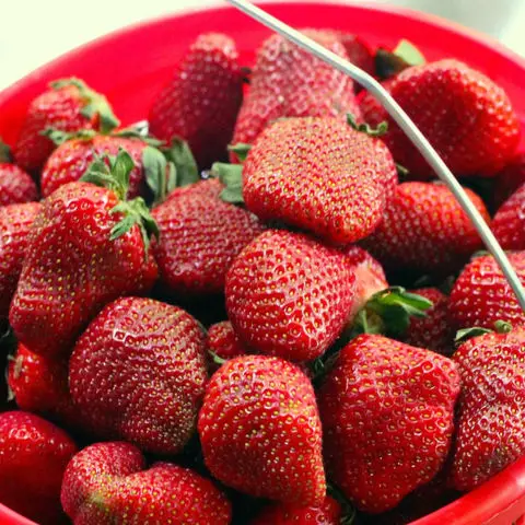 Organic Fresh Strawberry Australian Fresh Strawberries