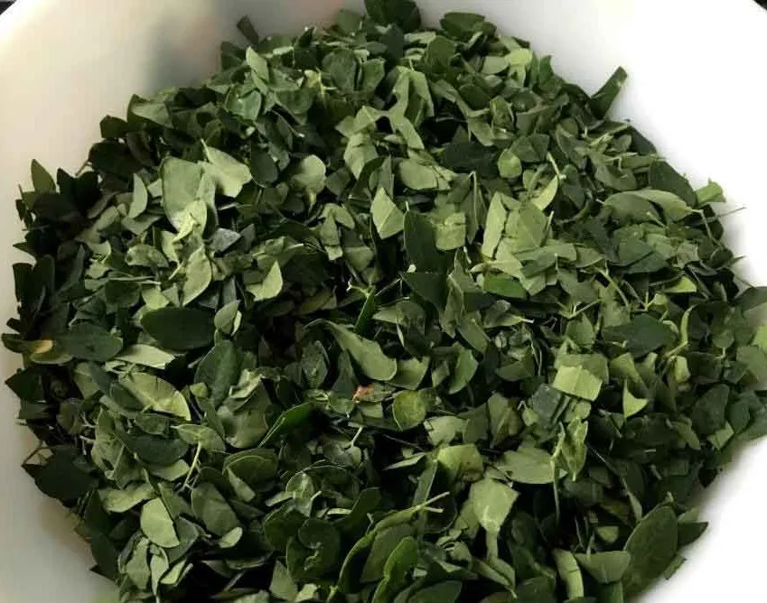 Dried Moringa Leaves/Fresh Moringa Extract/Moringa Powder for treatments
