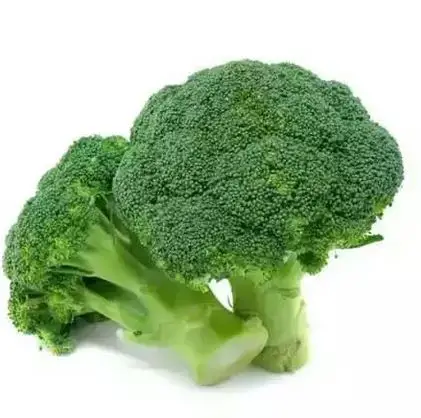 100% натуральный оптовый свежий брокколи, овощной оригинал, Германия, высокое качество, свежий брокколи