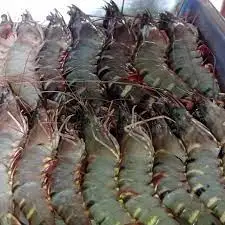 Высококачественные тигровые креветки Jumbo Prawn Black Tiger