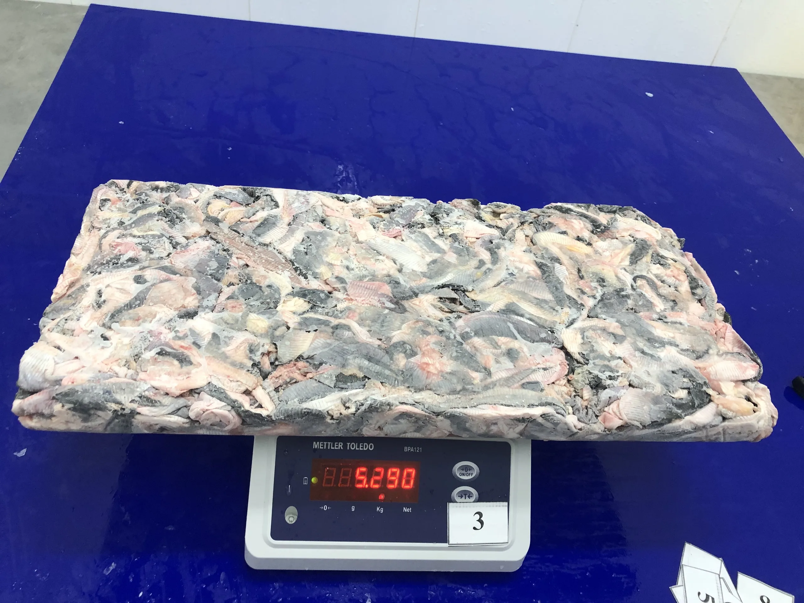 Fresh pangasius skin/ basa fish skin