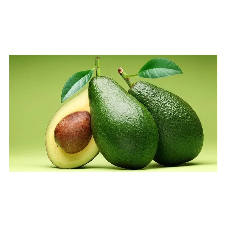 Wholesale Supplier Of Bulk Fresh Stock of Fresh Fruit Hass Avocados