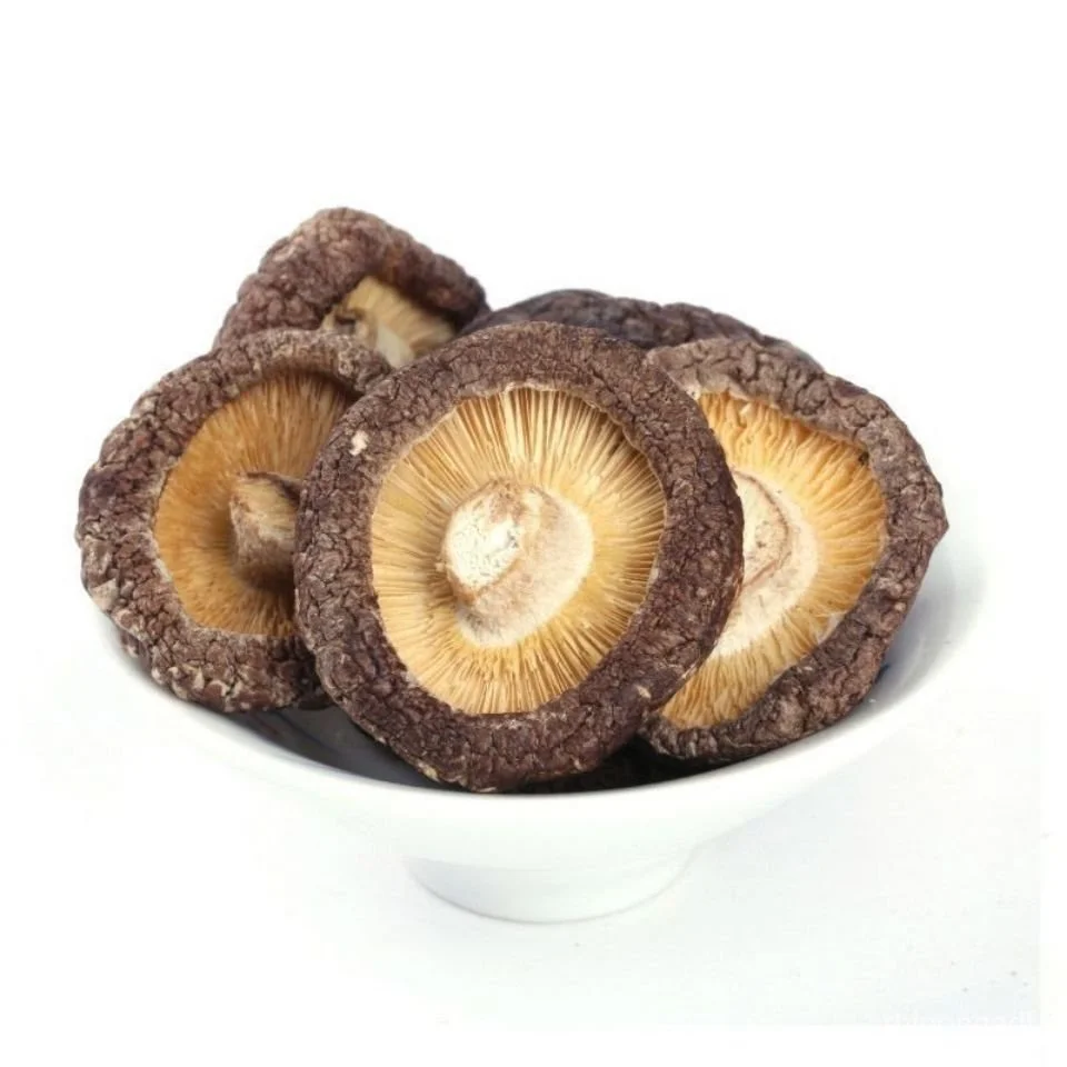 Top Quality Light Tawny Selected Healthy Dried Shitake Mushroom