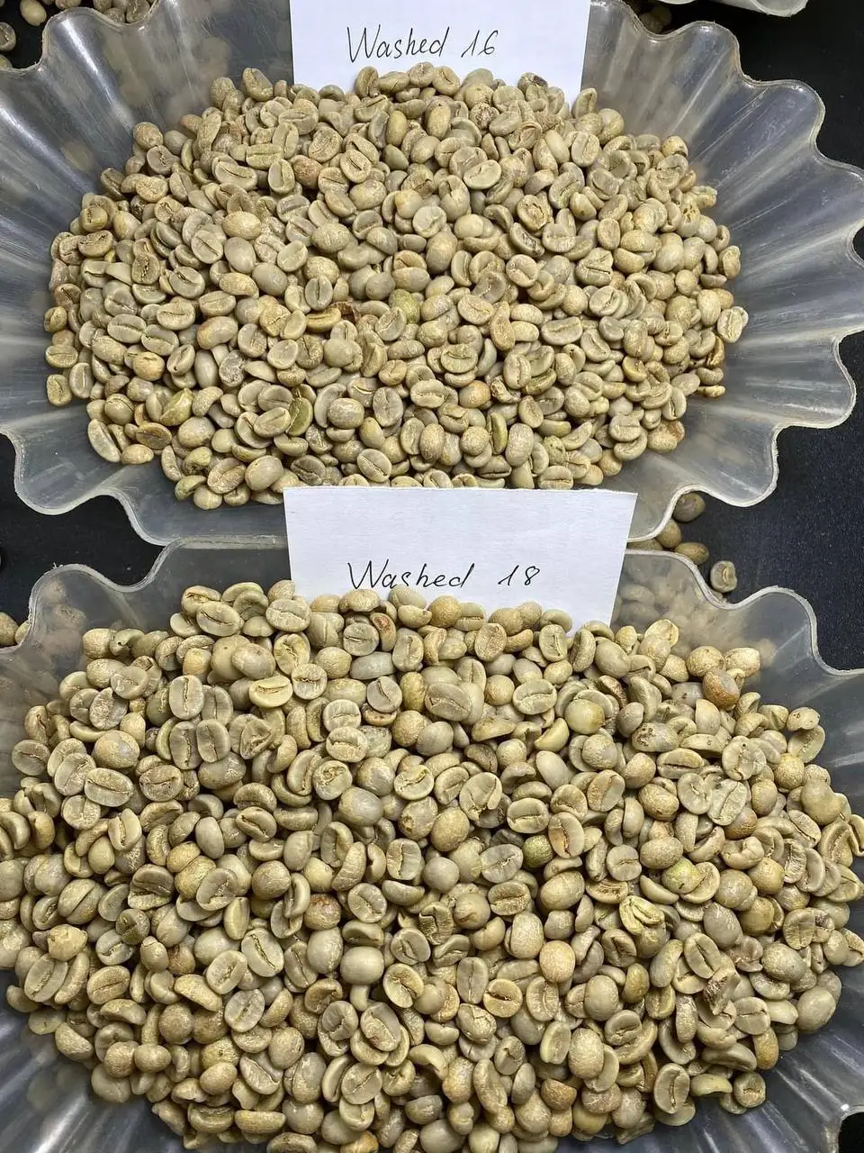 Whole Bean Coffee Beans Robusta Common Coffee Beans Robusta Best Selling At Good Price Arabica Good Price