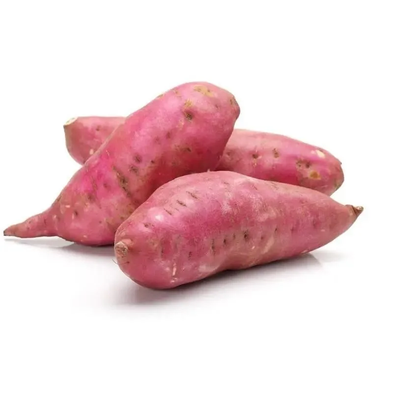 Flash Sale - frozen/ dried/ fresh Sweet potato High Quality Vegetables Fresh Sweet Potatoes export worldwide