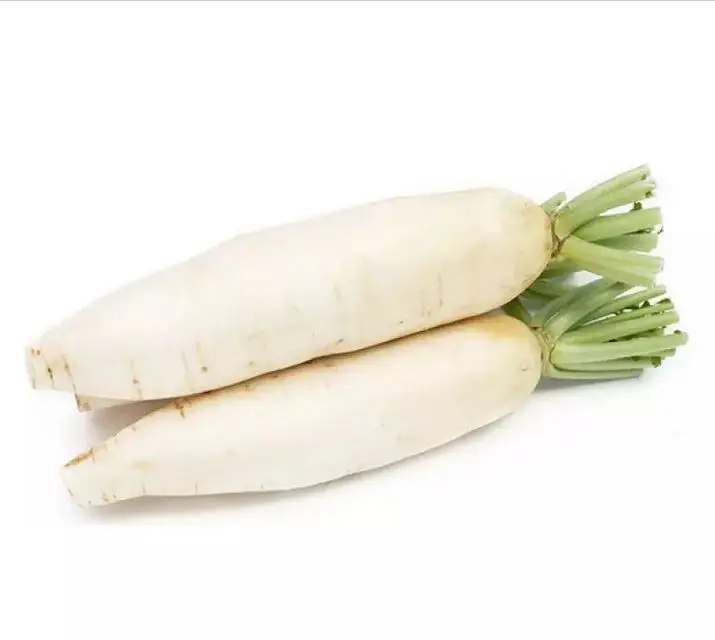 Свежий белый редис хрустящая репа Овощной поставки качество в китайском стиле зазор цвет вес полка происхождение