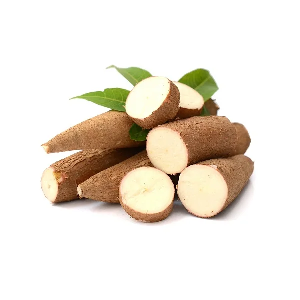 Highest Quality Best Price Direct Supply Fresh Vegetables Tapioca Cassava Bulk Fresh Stock Available For Exports