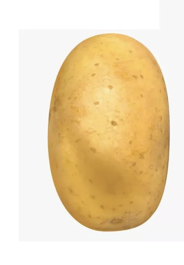 Organic Fresh Potatoes 100% High Quality Export Oriented Low Price For Wholesale Price Fresh Potato Holland From Bangladesh