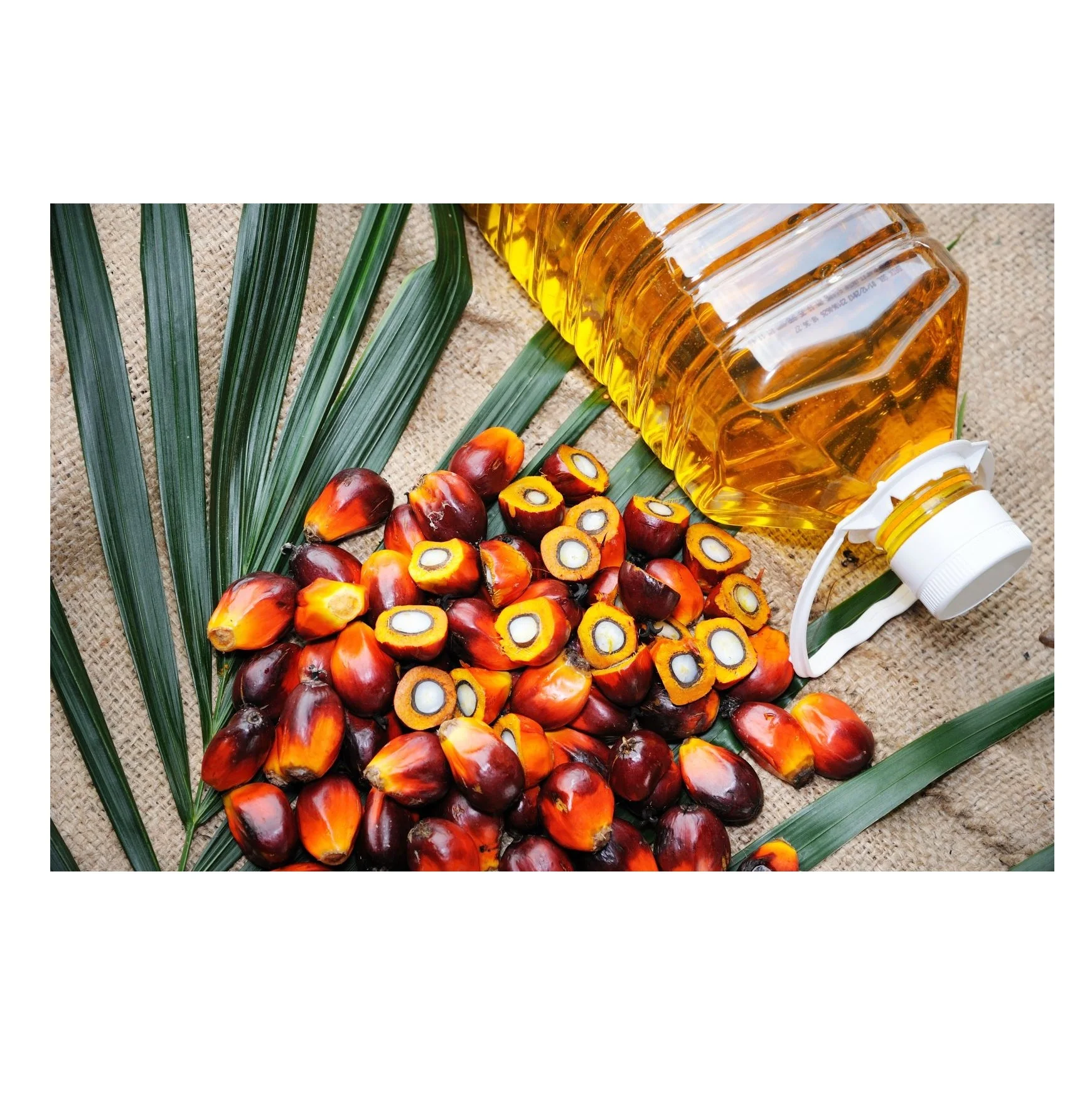 Premium Quality RBD Palm Olein - Crude Palm Oil 100% Refined Oil Bulk Stock at Wholesale Cheap Price