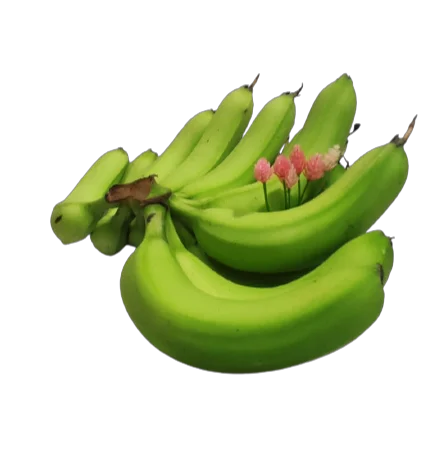 Hot Selling Fresh Banana Good Price Export High Quality Premium Grade A789 Cavendish Banana Customized Top Brand