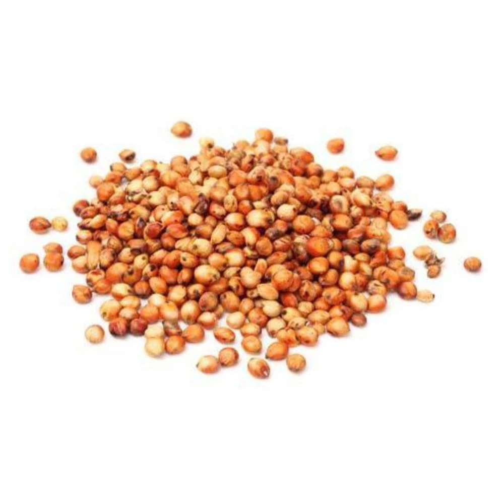 High Quality Non Gmo Sorghum / Sorghum Beans Soy bean Seeds and Soya bean Seeds For Sell