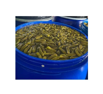Delicious Pickled Vegetable - Pickled Cucumber Baby, Pickled Gherkin Ready To Export With HIgh Quality And Best Price
