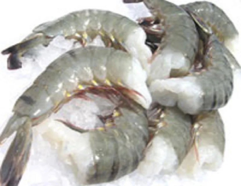 Wholesale Cheap High Quality Fresh Seafood Frozen Black Tiger Vannamei Shrimp