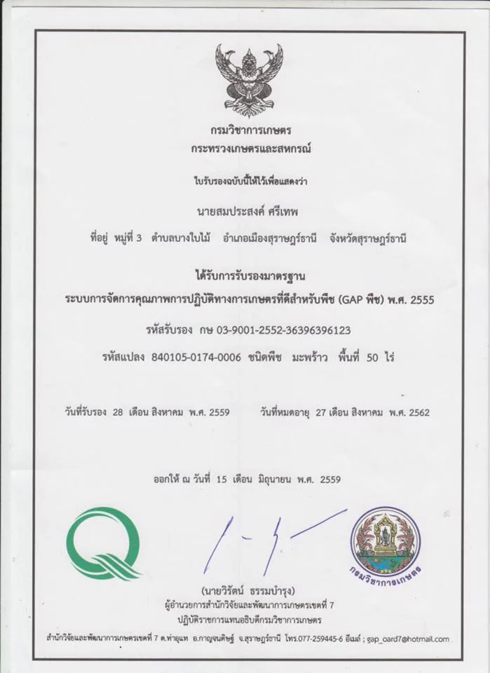 Prow Thai 100% Organic Premium Quality Coconut Oil Spa Foot Moisturising & Smooth Skin Nourishing 30g Product of Thailand