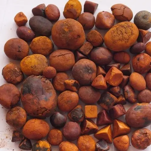 Wholesale Bovine gallstones ,ox cow gallstone, cattle gallstones