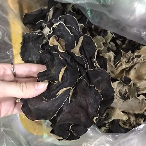 Лидер продаж-сушеные грибы из древесины-цельные и измельченные // Daisy + 84