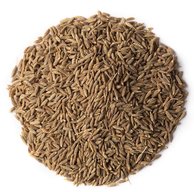 Pure Organic Single Spices Seasoning fennel seed and cumin seeds High Quality Nature Cumin Seeds  Agrowell Turkish Goods