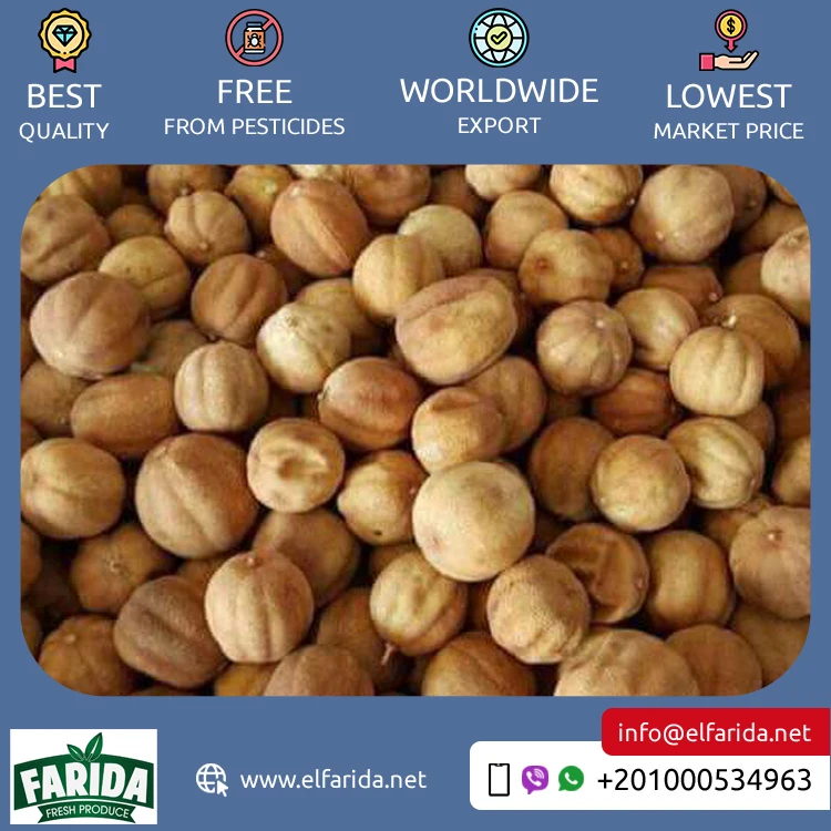 Egypt Origin Supplier of Best Quality Premium Grade Delicious and Nutritious Fresh Citrus Fruit Yellow and Black Dried Lemon