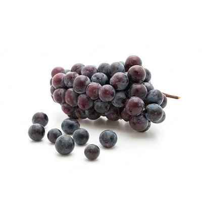 Wholesale Price  Good Quality Premium Black Grapes with Good Sweet Content and Flavorful Available from Indian Exporter