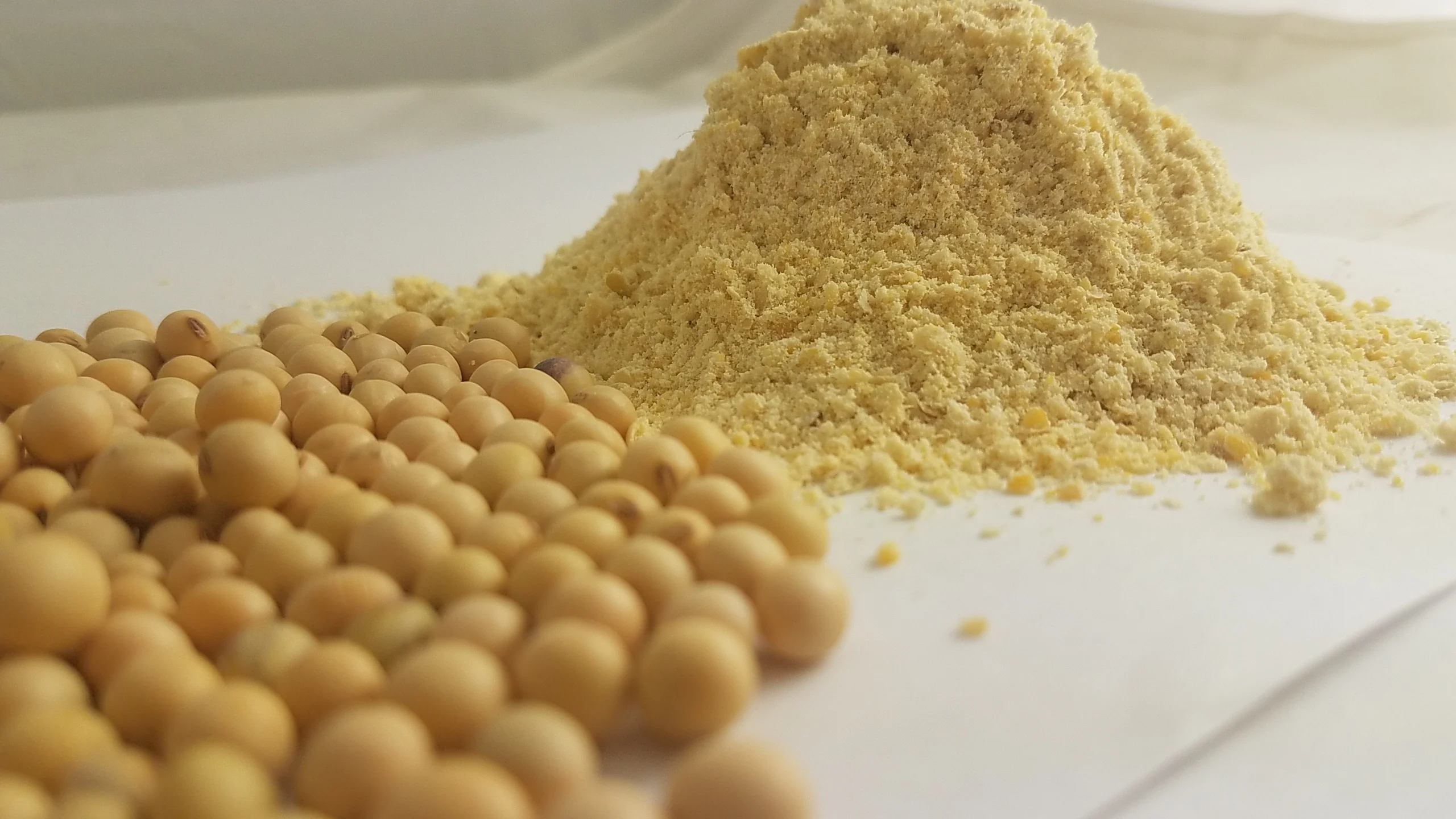 Buy Soy Flour | Find Competitive Prices | Organic Soya Flour, Gluten Free