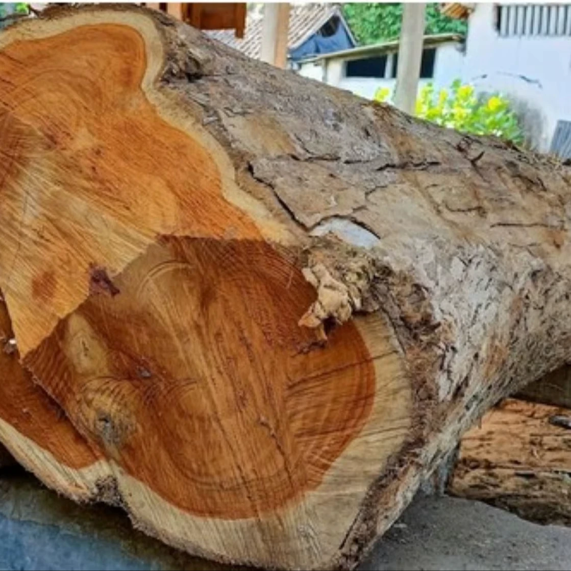 Круглые деревянные бревна из тикового дерева