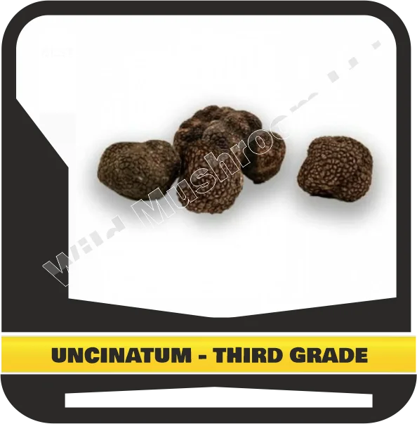 FRESH BLACK WINTER TRUFFLES UNCINATUM - THIRD GRADE