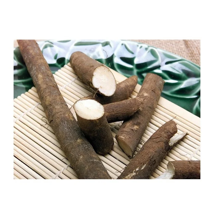 Best Price Fresh Vegetables Burdock Bulk Stock Available With Customized Packing