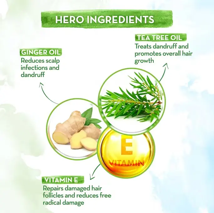 New Product Selling MAMA EARTH Tea Tree Shampoo For Dandruff Free Hair - 250ml Helps In Reducing Itch & Irritation