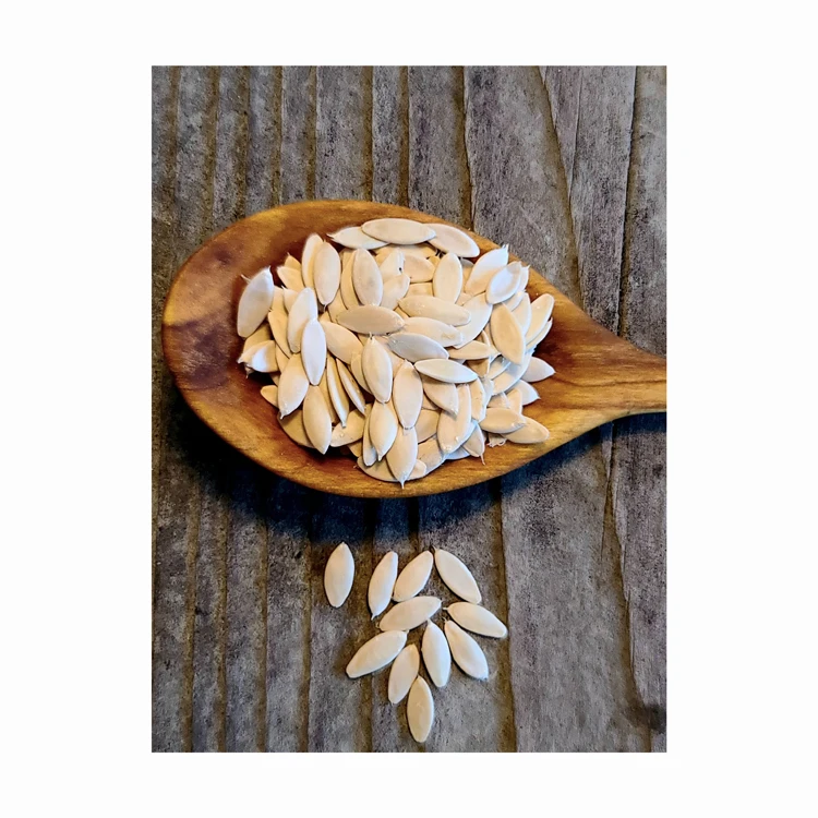 Hybrid (F1) Cucumber Seed - 20 seeds for sale