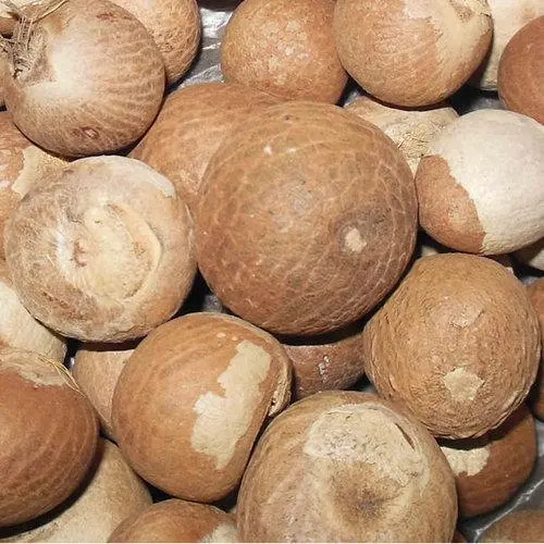 Высококачественные сплит-гайки Betel на продажу/оптовые гайки