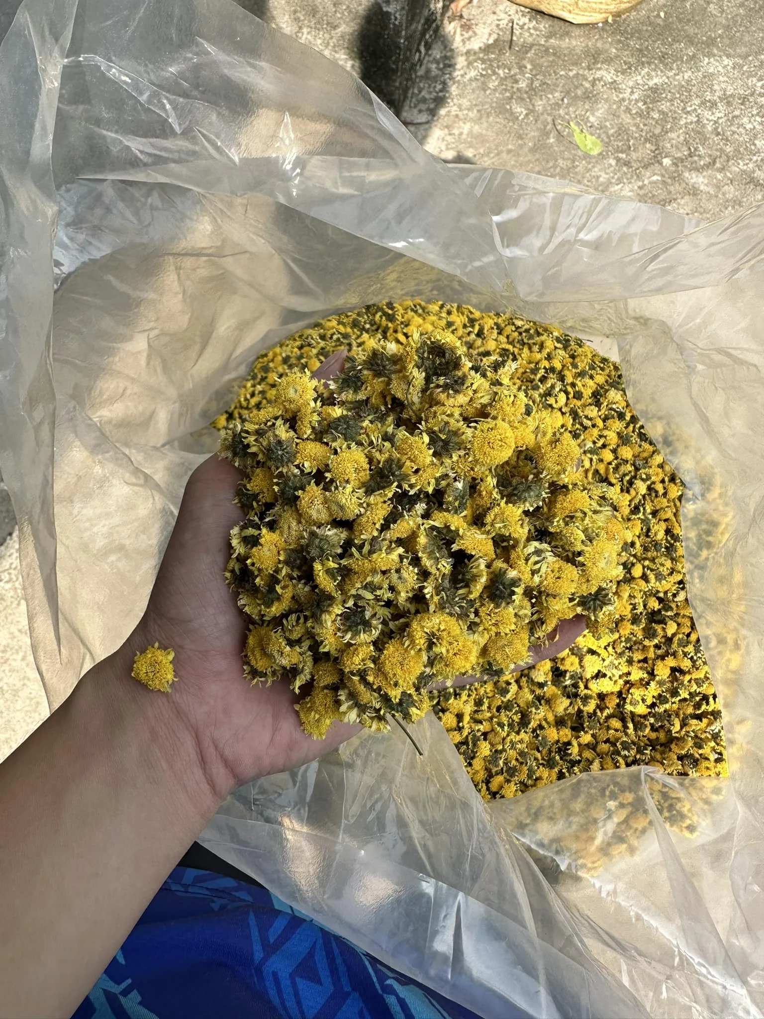 99GD Factory Organic Tea Wholesale Dried Flower Tea Dried Daisy Chamomile Pea Flower yellow flower Butterfly Tea