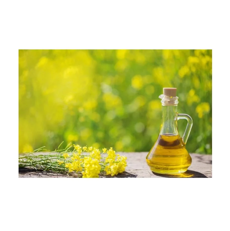 High Quality High Vitamin D Refined Non Gmo Rapeseed Cooking Oil, Canola Oil Bulk