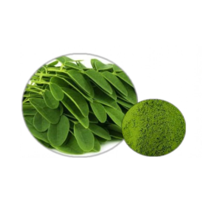 Bulk Wholesale Oleifera Leaf Powder Moringa Leaves powder Moringa Tea Moringa Leaf Powder Cheap Price Good For Sugar Patients