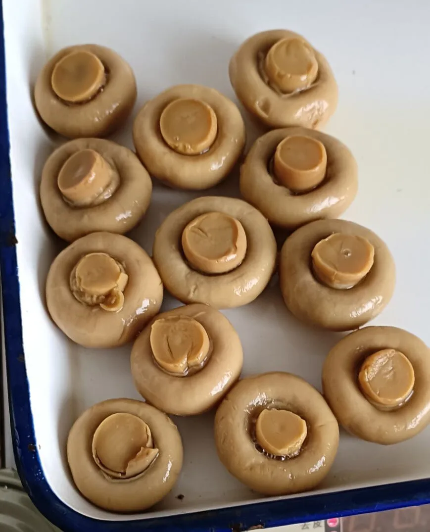Whole Button Mushroom in tin, Pickled straw mushrooms whole, Canned sliced button mushroom