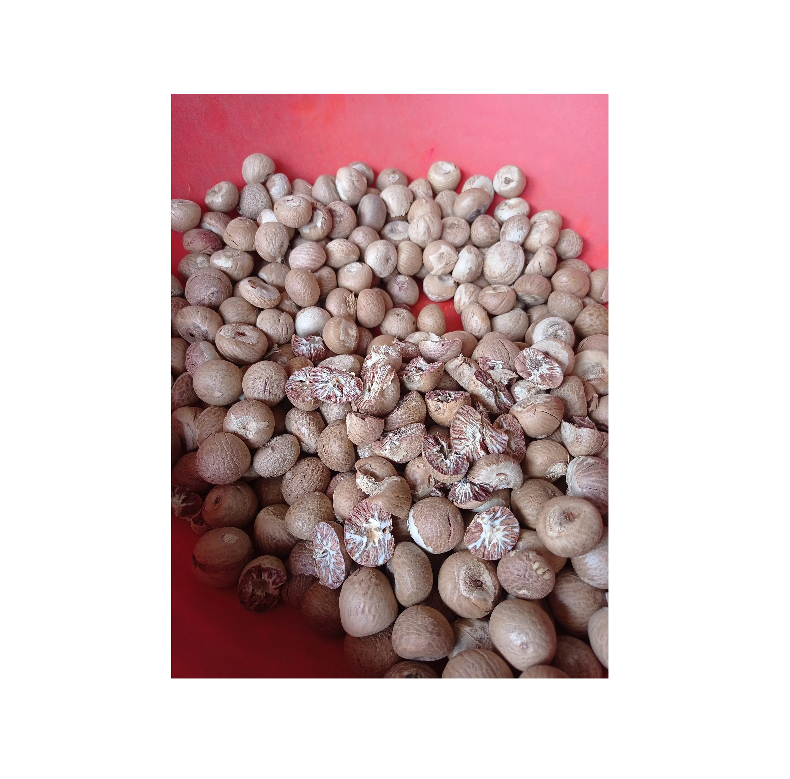 Good Quality New Crop Agricultural Products Dried Betel Nut Dry Arecanuts with Competitive Price for Sale From Indonesia