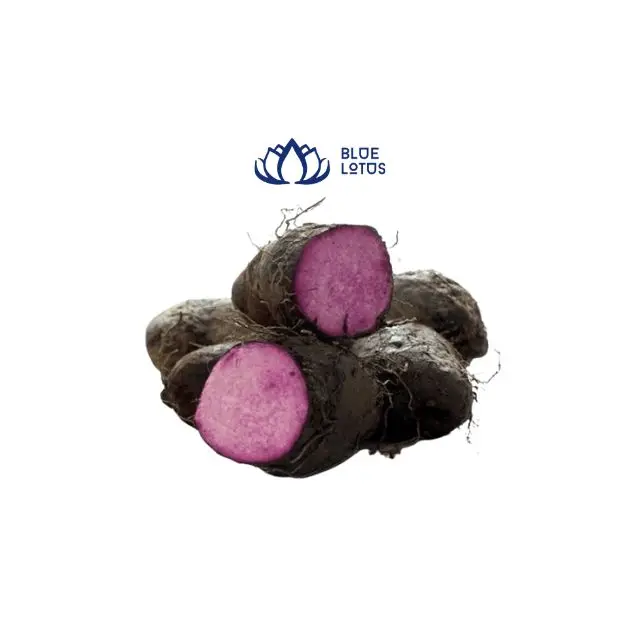 Exporting from Vietnam with Best Price for Purple Yam