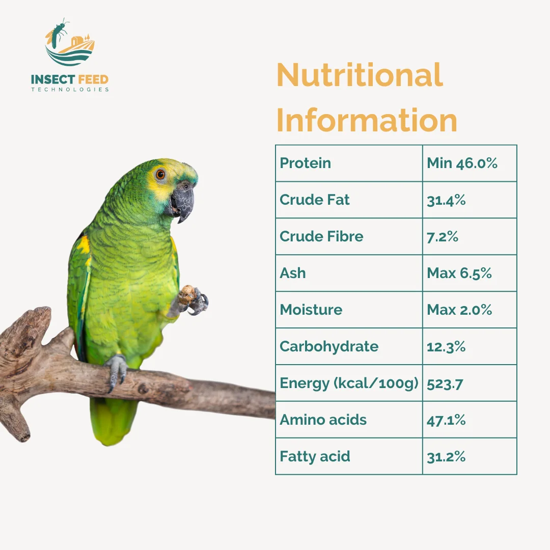 Wholesale High Protein Natural Black Soldier Fly Dried Larvae for Animal Fish Chicken Poultry Pet Feed  Vital Fatty Amino Acid