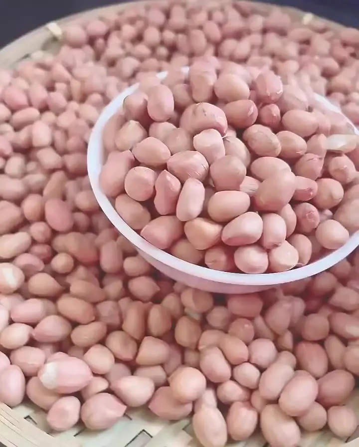 Red Skin Peanuts / Blanched Peanut Kernels / Roasted and Salted Redskin Peanuts