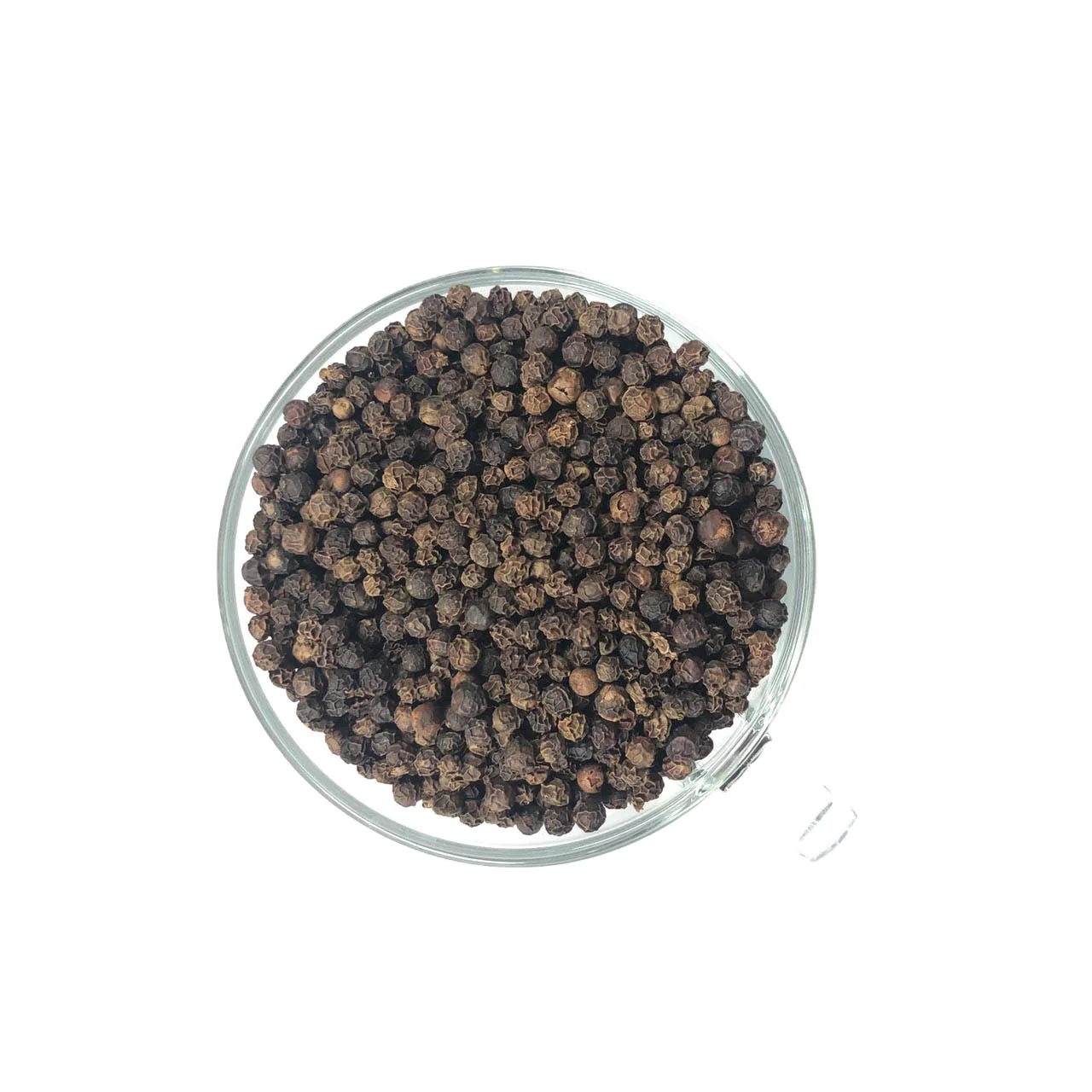 Trend alligator pepper 550GL MC white pepper powder mixed seasonings green pepper seeds